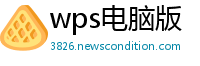 wps电脑版